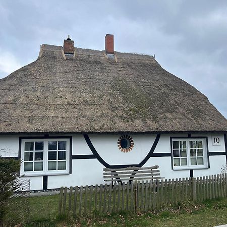 Urlaub Unterm Reetdach Auf Dem Darss Villa Fuhlendorf  Kültér fotó